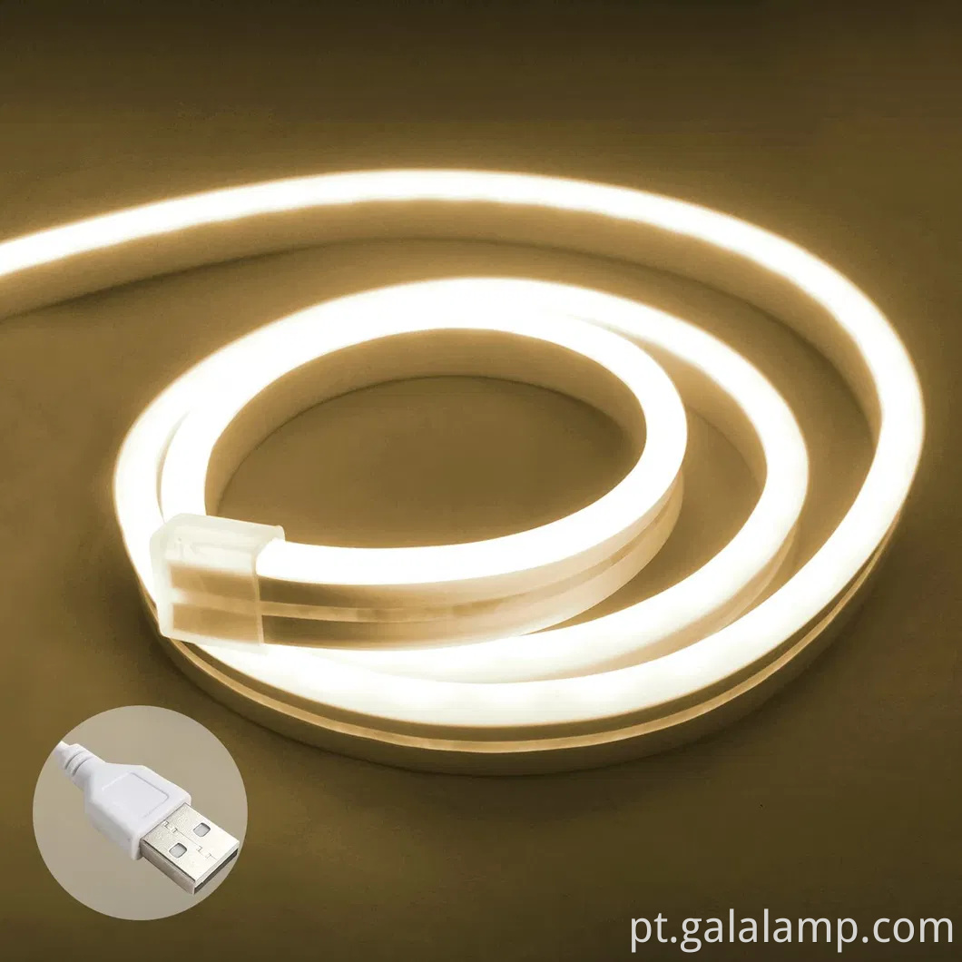Luzes de tira de neon de silicone IP67 flexíveis coloridas para decoração de casa e jardim